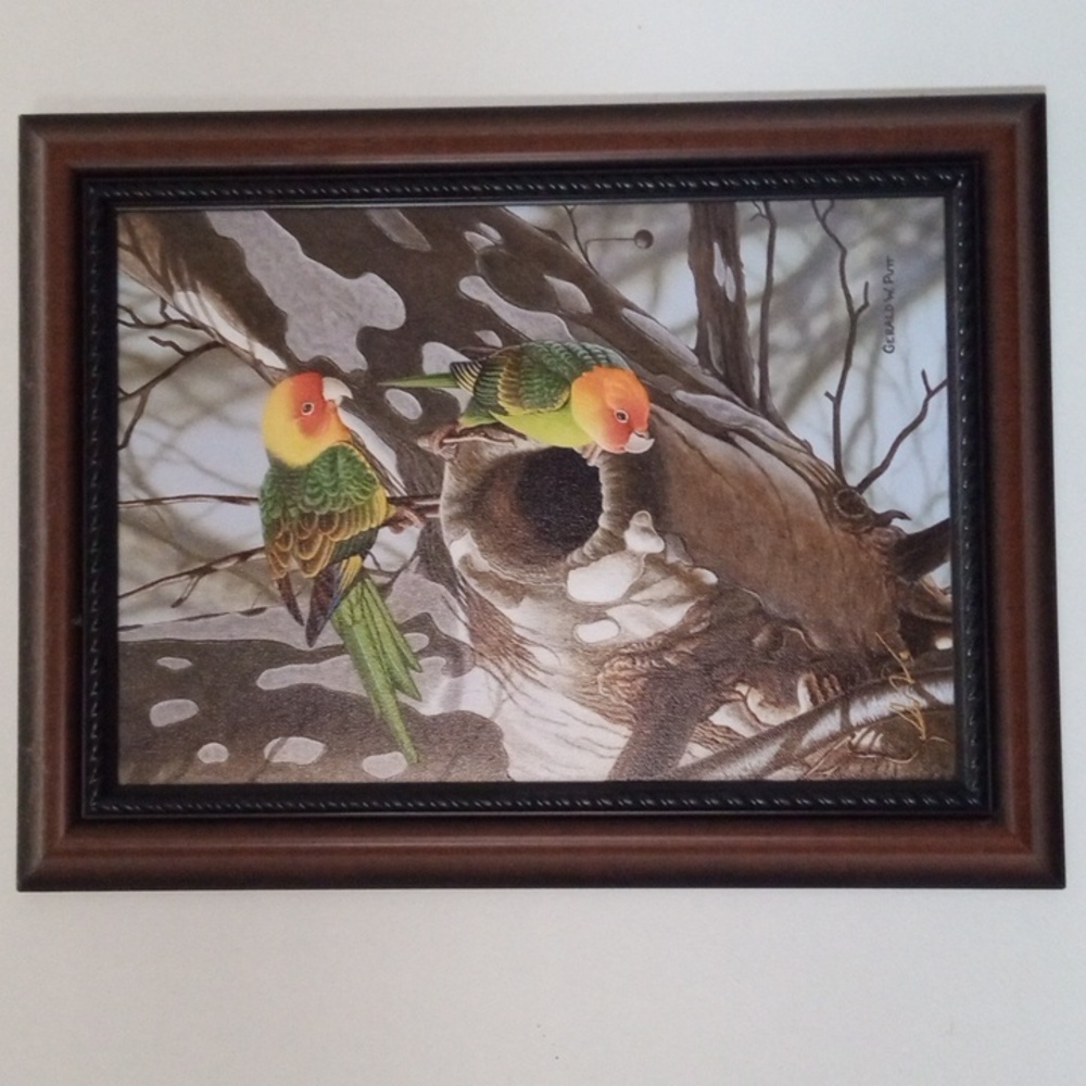 Framed Vinyl bird picture By A PA Artist